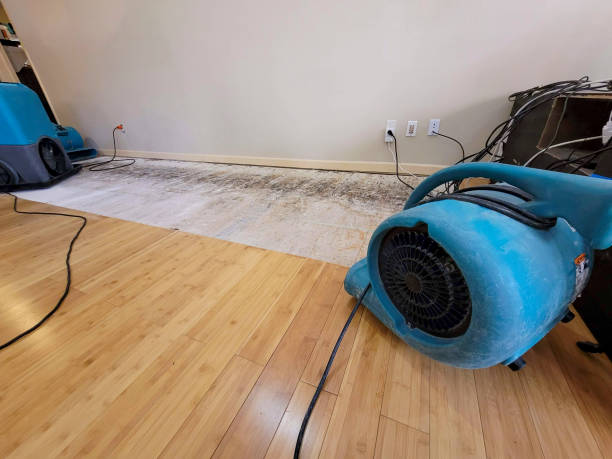 Professional Structural Drying technician working in Nixa, MO